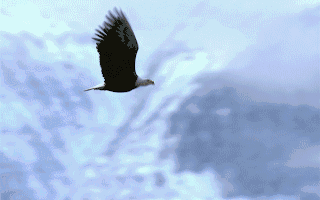 华电金沙江上游水电开发有限公司：实施“四力四推”党建工程  加快推进水风光一体化